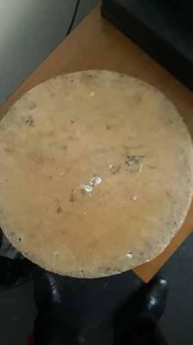 IMG-20181105-WA0011.jpg