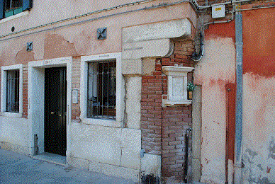 DSC_3917.gif