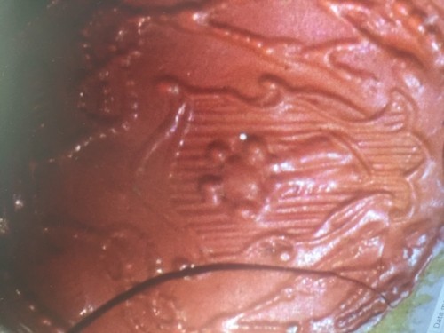 image1.jpeg