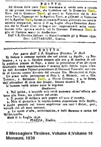 t.JPG