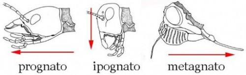 0.jpg