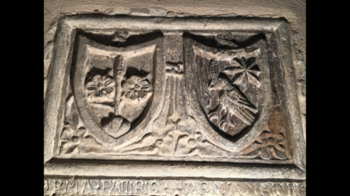 stemma de Procopiis Falconi.PNG