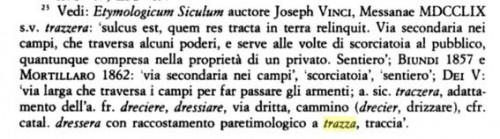 Ipotesi sul cognome Trazzi.JPG