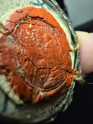 WhatsApp Image 2025-04-07 at 20.49.34_e340d537.jpg