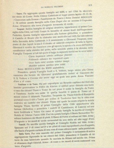pag.313.jpg