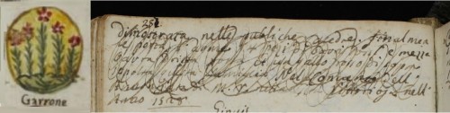 Garrone.jpg