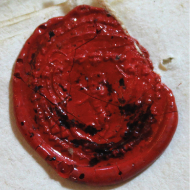 leone rampante CSMocci1.jpg