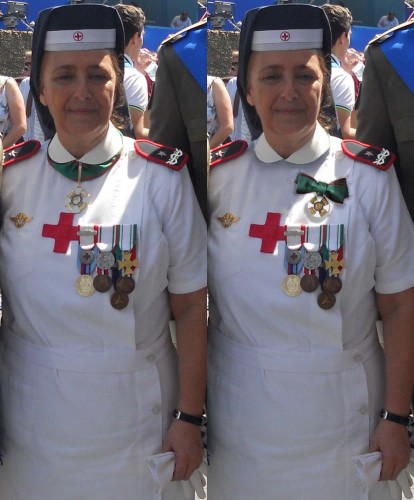 Dialuce 2 Giugno 2015.jpg